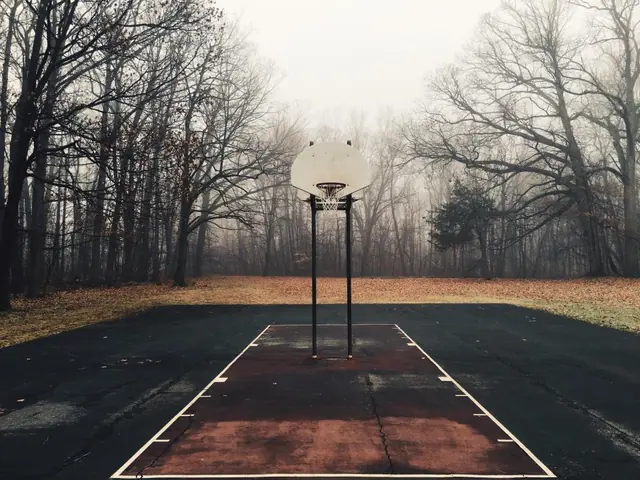 An empty outdoor court on a foggy morning with bare trees