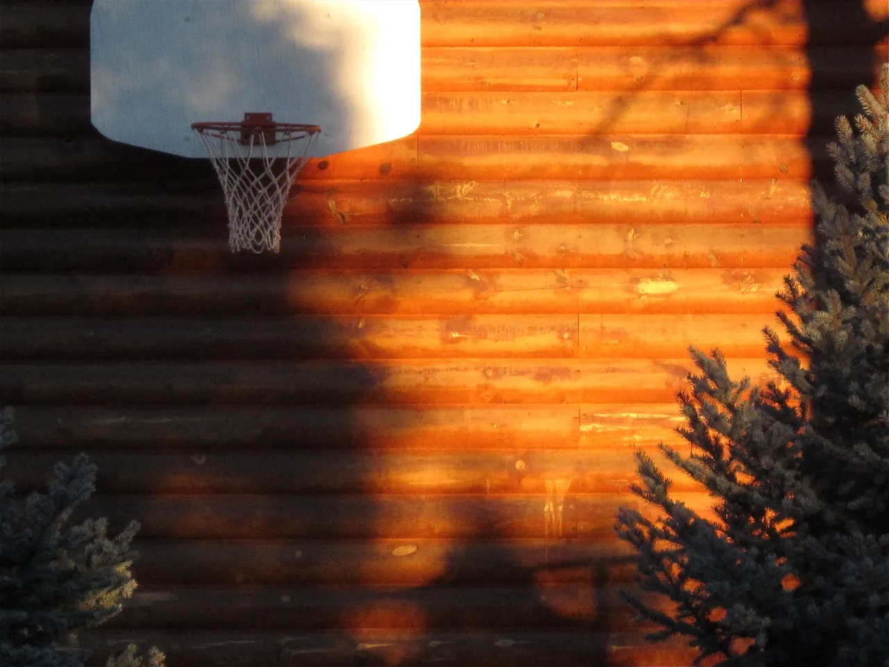 A wall-mounted hoop catching the last orange light of sunset