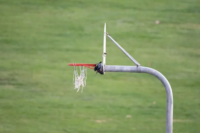 A lone hoop standing in an open grass field