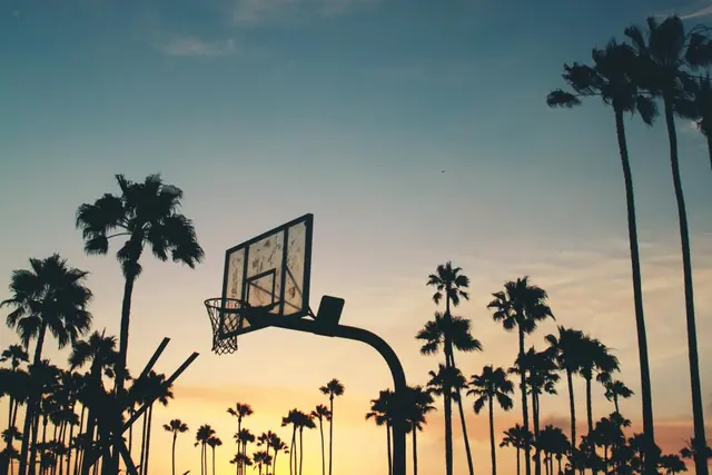 An outdoor hoop silhouetted against palm trees at sunset